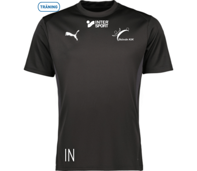 Puma teamGOAL Jersey Jr 