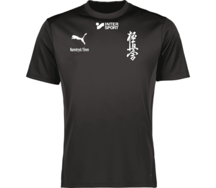 Puma teamGOAL Jersey Jr