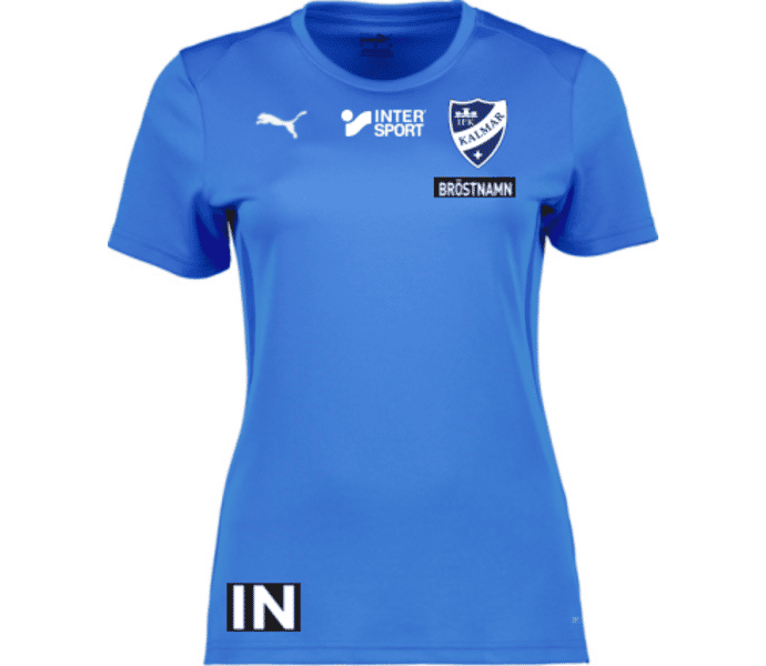 Puma teamGOAL Jersey W 