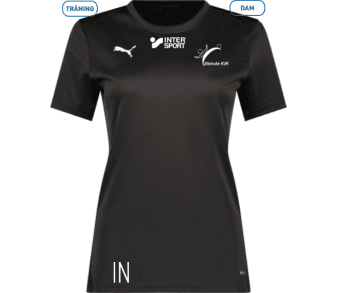 Puma teamGOAL Jersey W 