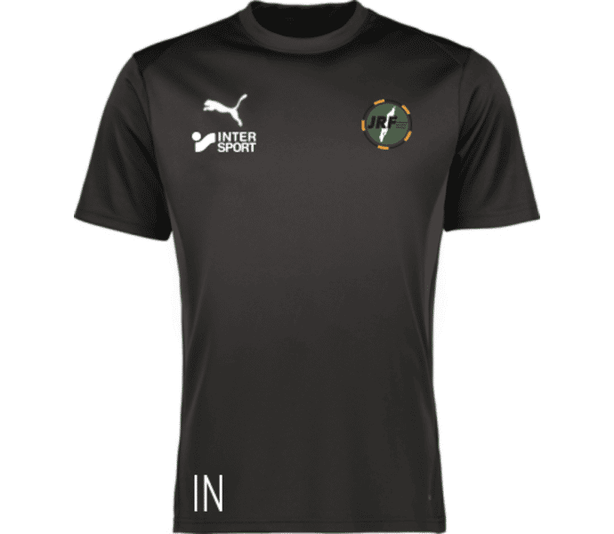 Puma teamGOAL Jersey W