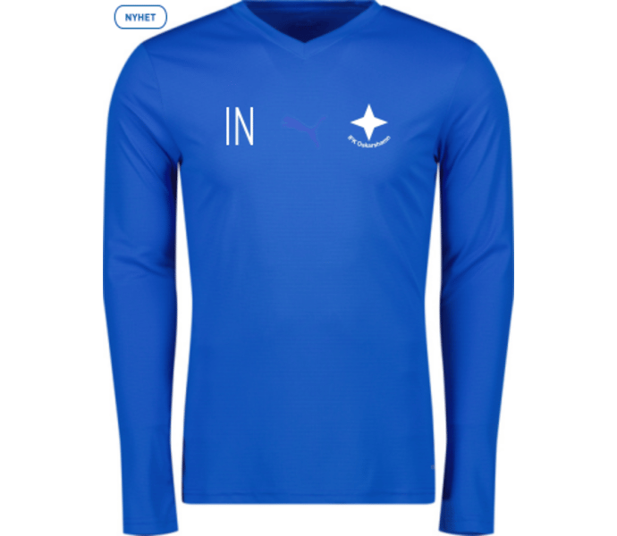 Puma teamGOAL Baselayer Tee LS 