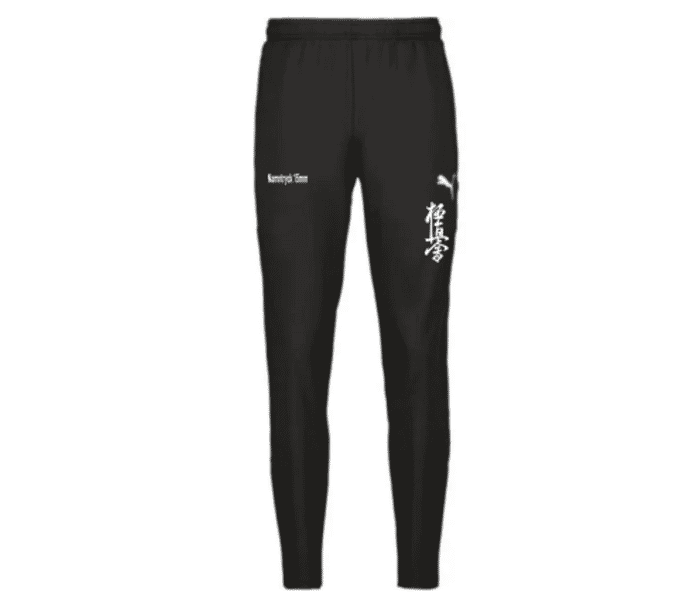 Puma teamGOAL PRO Training Pants 