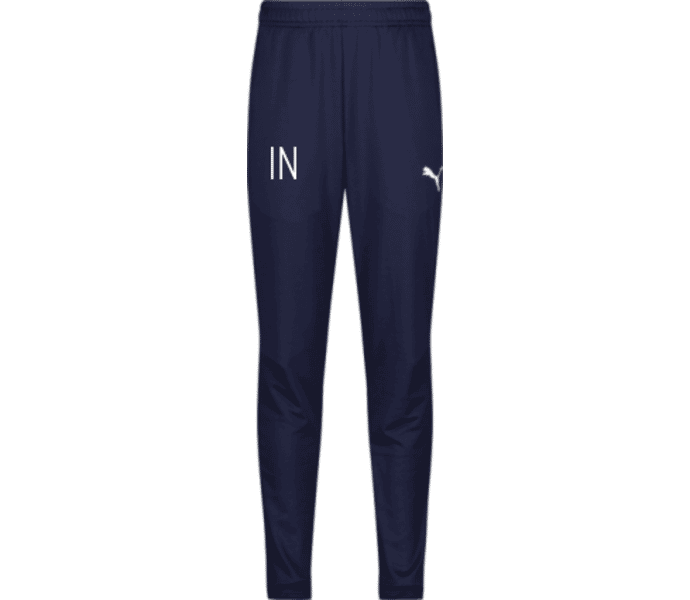 Puma teamGOAL PRO Training Pants 