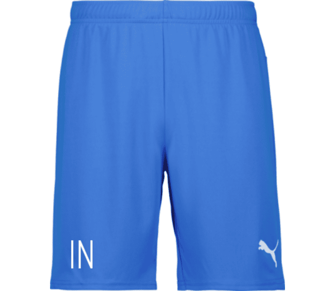 Puma teamGOAL Shorts 
