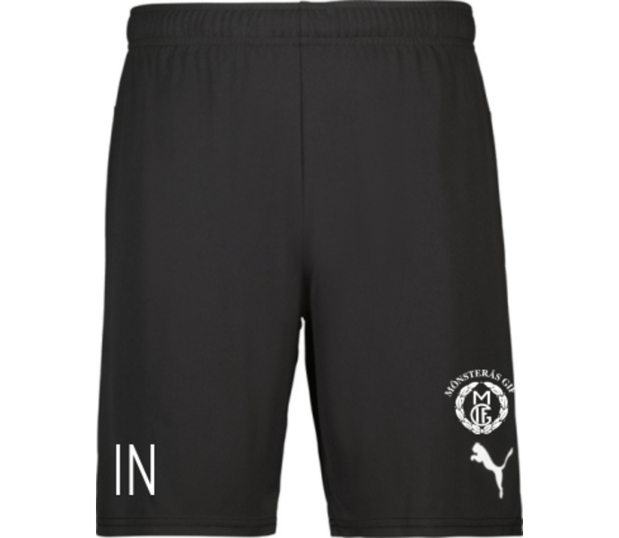 Puma teamGOAL Shorts 