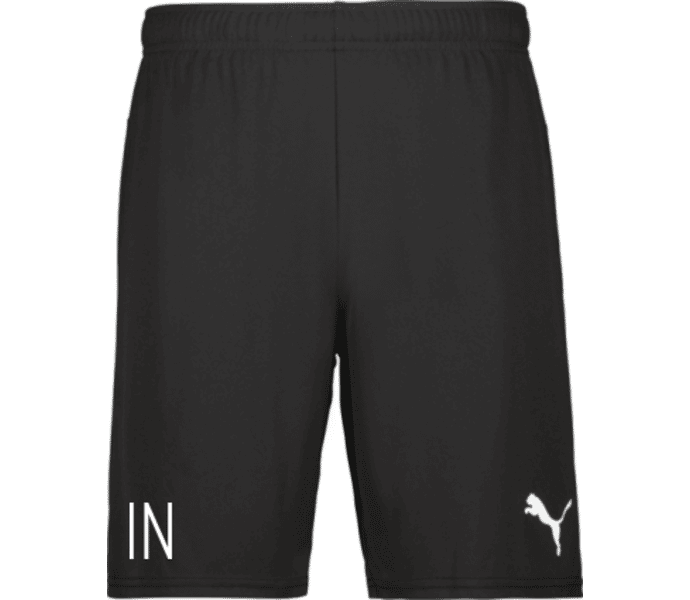 Puma teamGOAL Shorts 