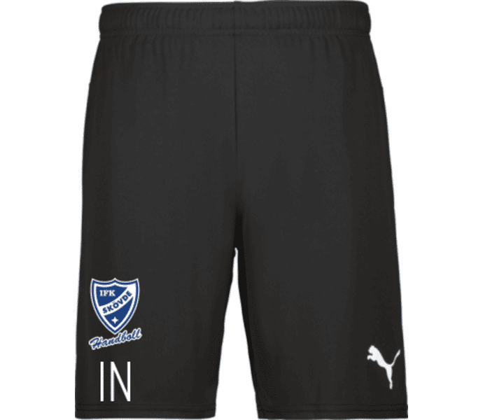 Puma teamGOAL Shorts 