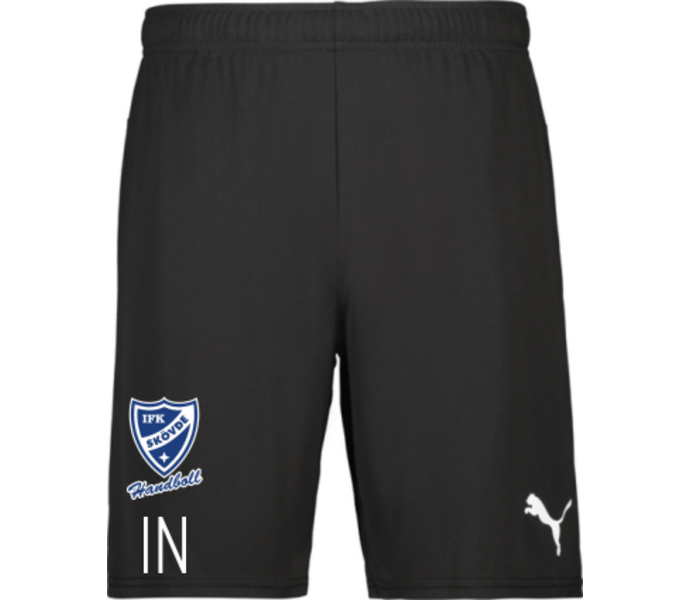 Puma teamGOAL Shorts 