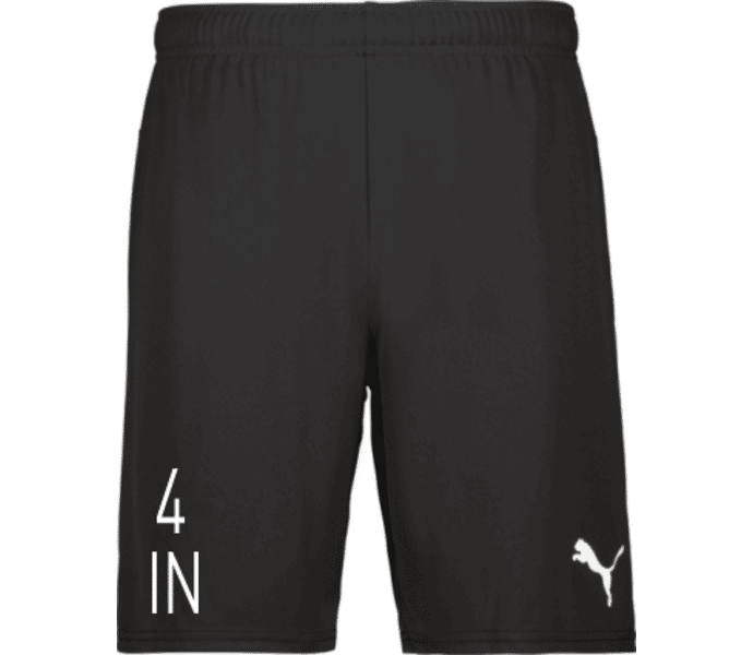 Puma teamGOAL Shorts 