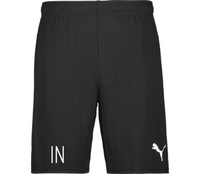 Puma teamGOAL Shorts 