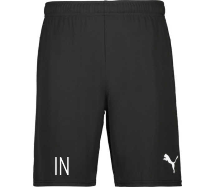 Puma teamGOAL Shorts 