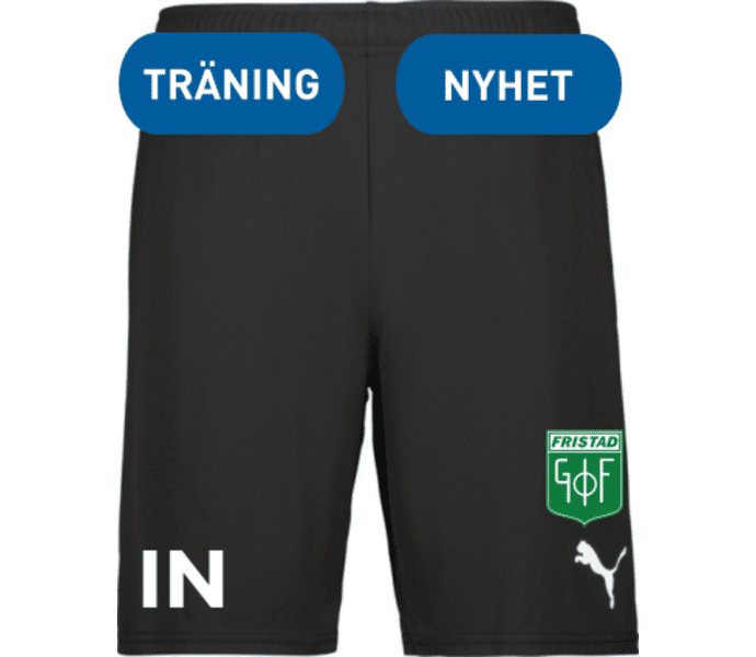 Puma teamGOAL Shorts 