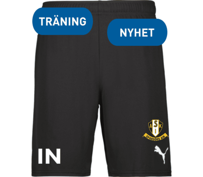 Puma teamGOAL Shorts 