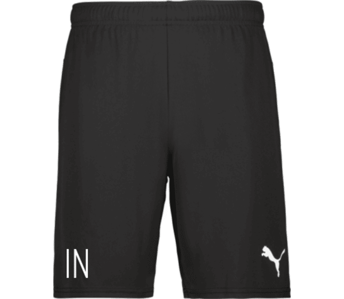 Puma teamGOAL Shorts 