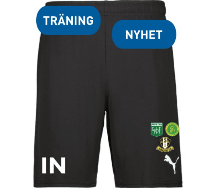 Puma teamGOAL Shorts 