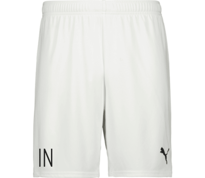 Puma teamGOAL Shorts 