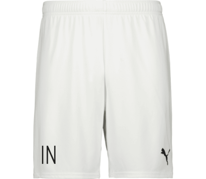 Puma teamGOAL Shorts 