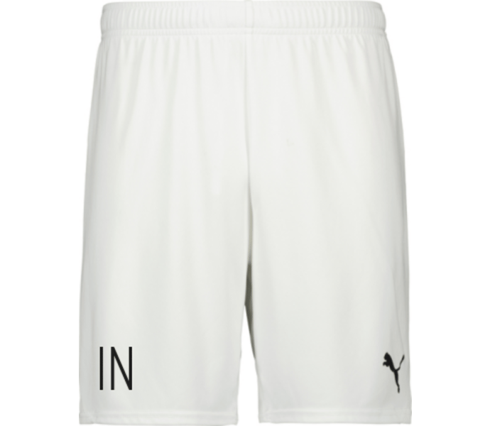 Puma teamGOAL Shorts 