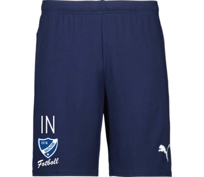 Puma teamGOAL Shorts 
