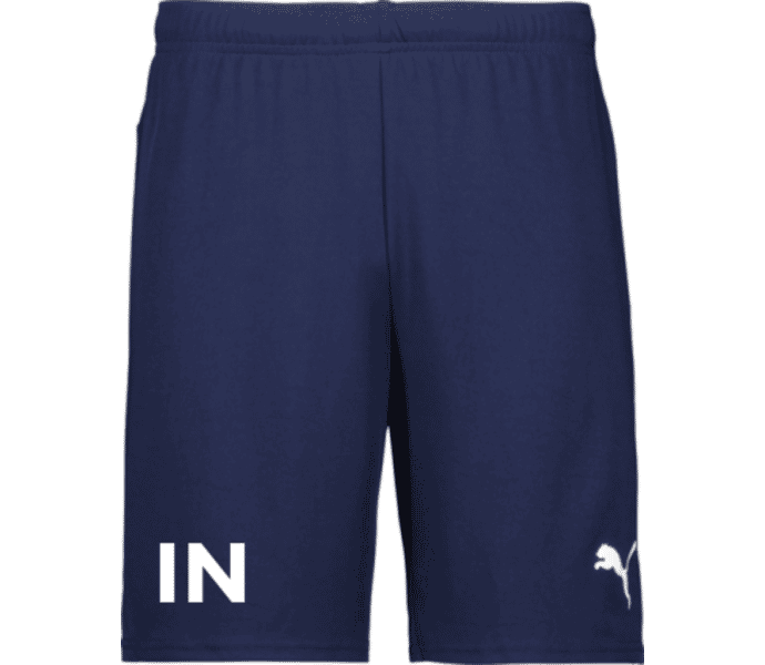 Puma teamGOAL Shorts 