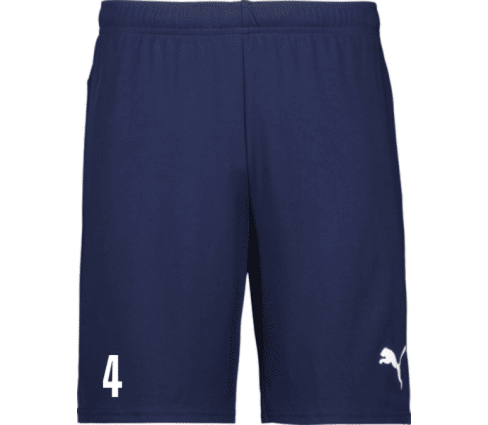 Puma teamGOAL Shorts