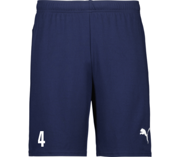 Puma teamGOAL Shorts 
