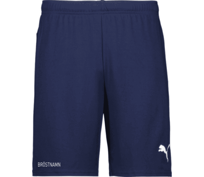 Puma teamGOAL Shorts
