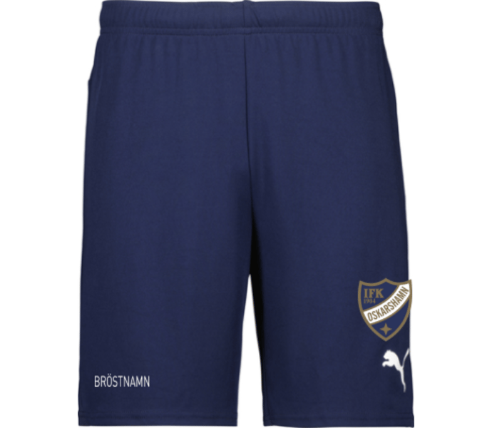 Puma teamGOAL Shorts 
