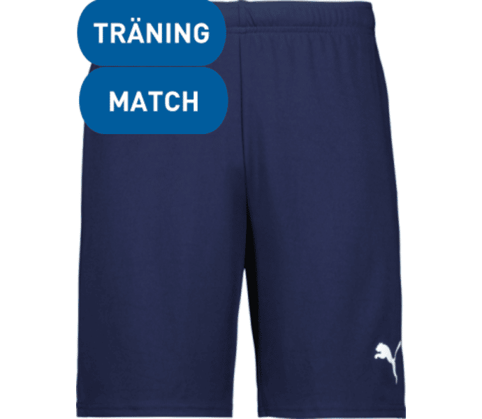 Puma teamGOAL Shorts 