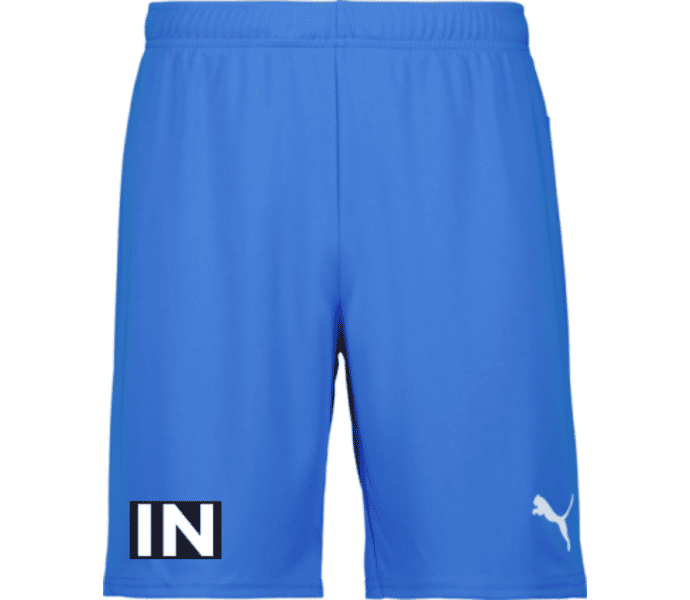 Puma teamGOAL Shorts Jr 