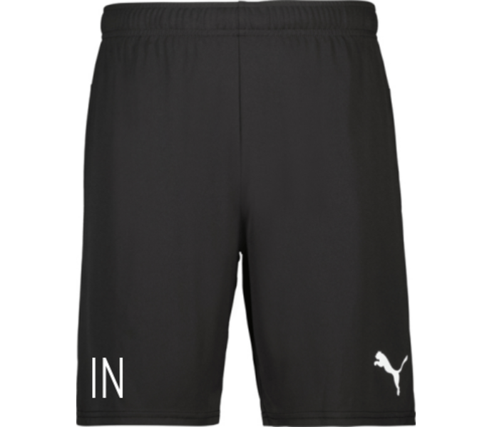 Puma teamGOAL Shorts Jr 