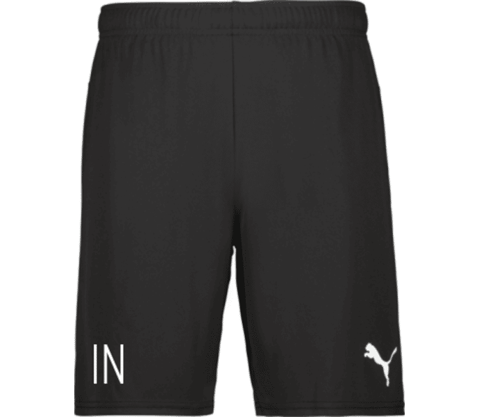 Puma teamGOAL Shorts Jr 