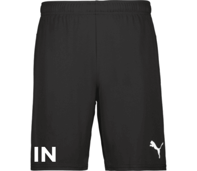 Puma teamGOAL Shorts Jr 