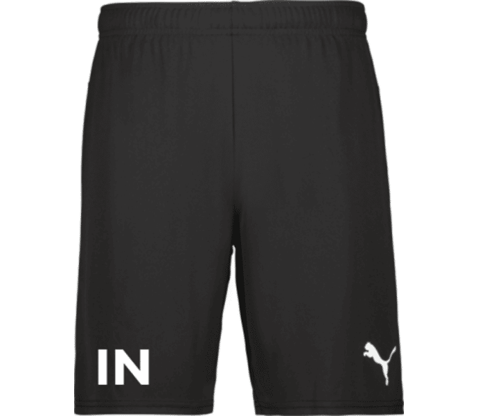 Puma teamGOAL Shorts Jr 