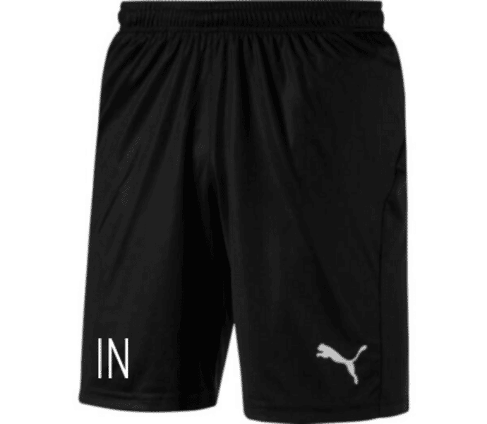 Puma teamGOAL Shorts Jr