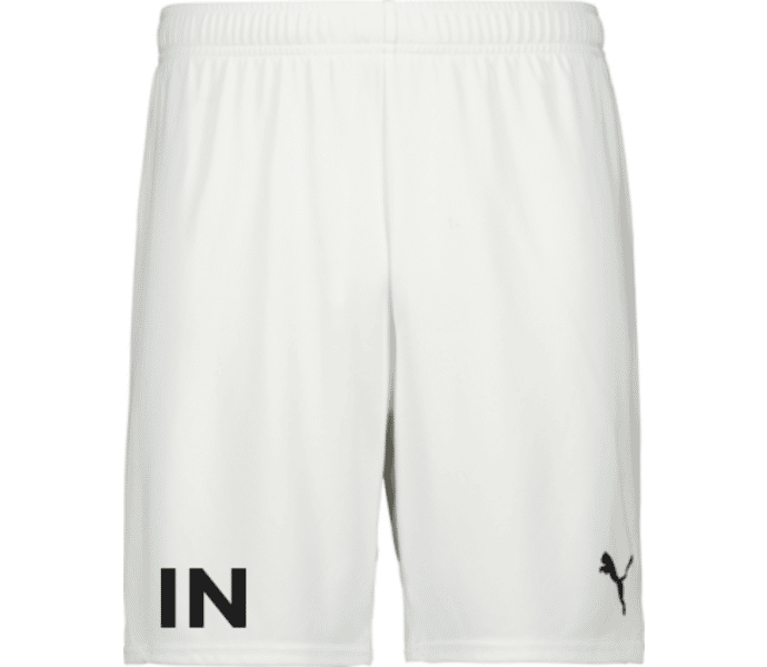 Puma teamGOAL Shorts Jr 