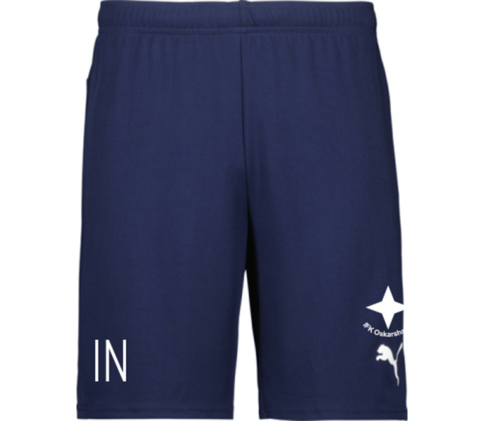 Puma teamGOAL Shorts Jr 