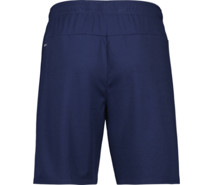 Puma teamGOAL Shorts Jr 