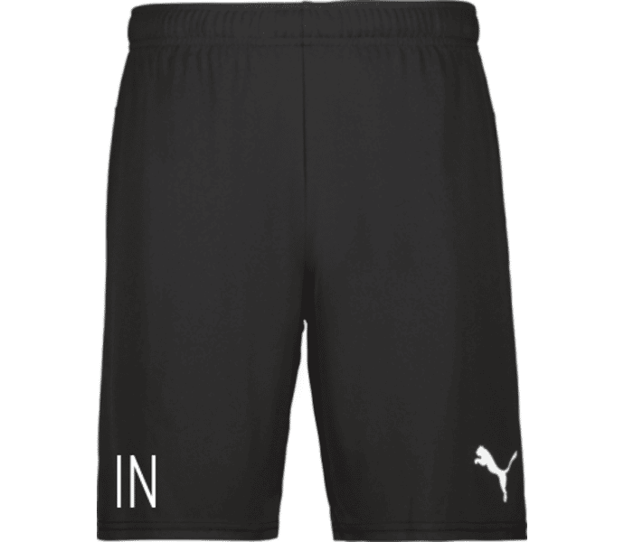 Puma teamGOAL Shorts W 