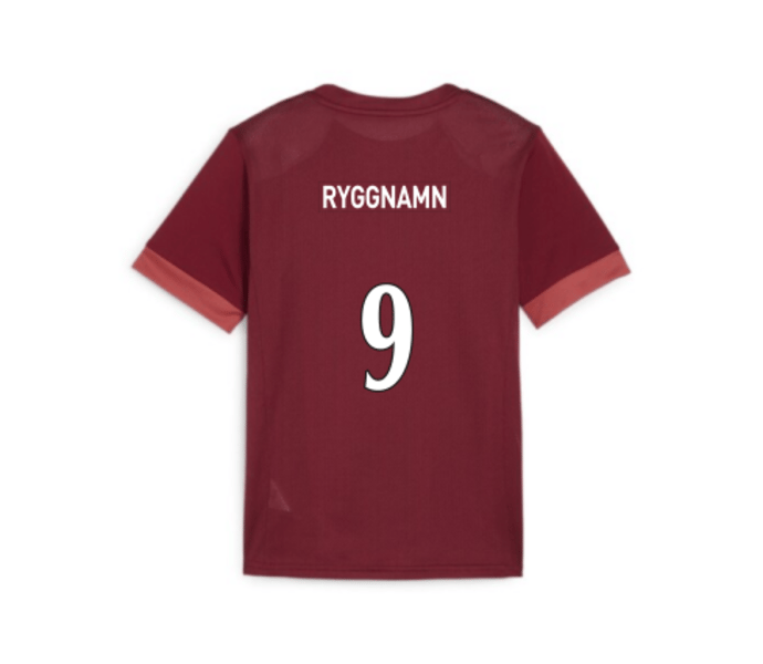 Puma TeamGOAL Matchday Jersey jr