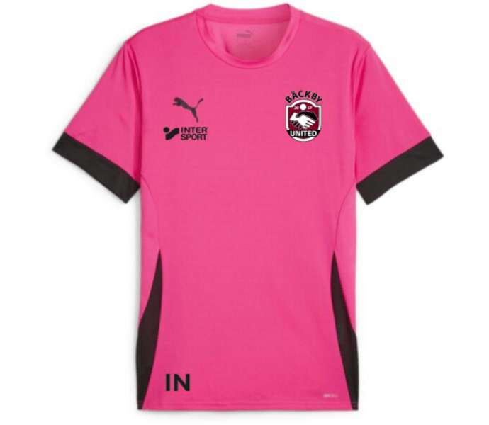 Puma TeamGOAL Matchday Jersey jr