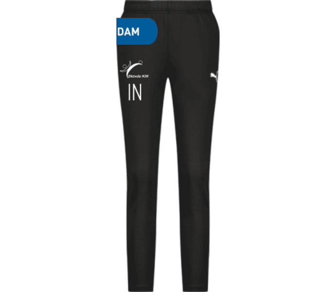 Puma teamGOAL PRO Training Pants W