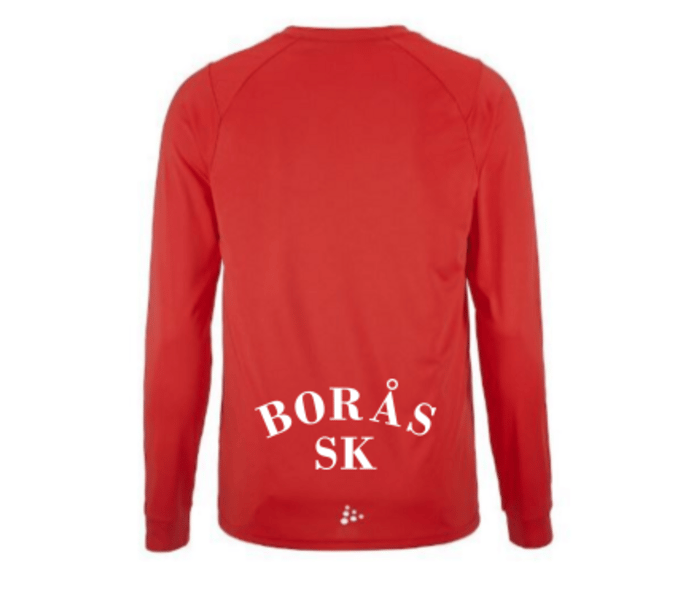 Craft Rush 2.0 LS W t-shirt