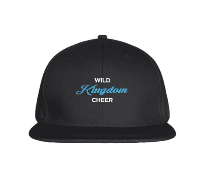 Merchandise  Street Cap