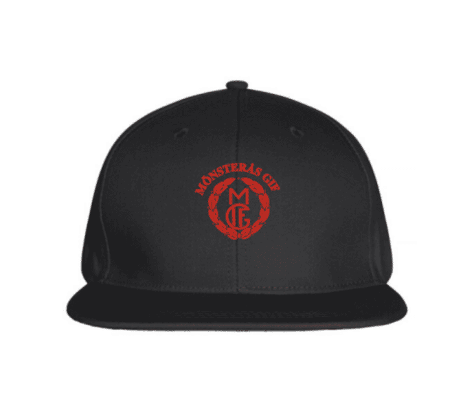 Merchandise Street Cap