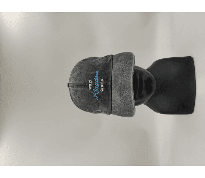 Merchandise Classic Cap