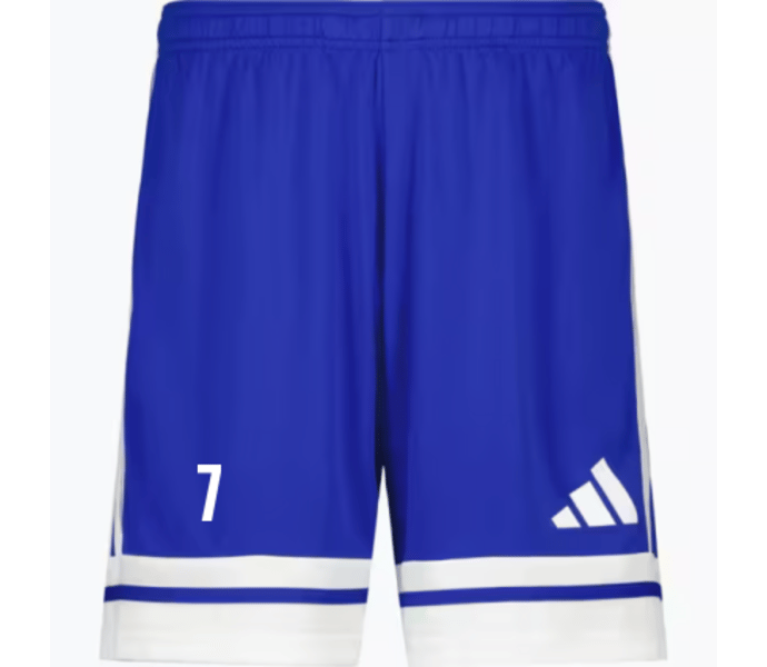 adidas Squadra 25 Jr shorts