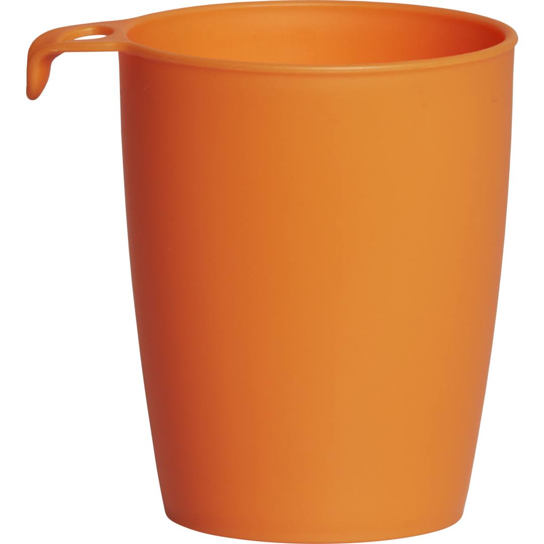 McKinley PP mugg