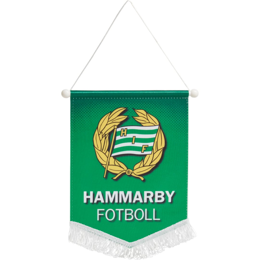 Hammarby Vimpel Stor